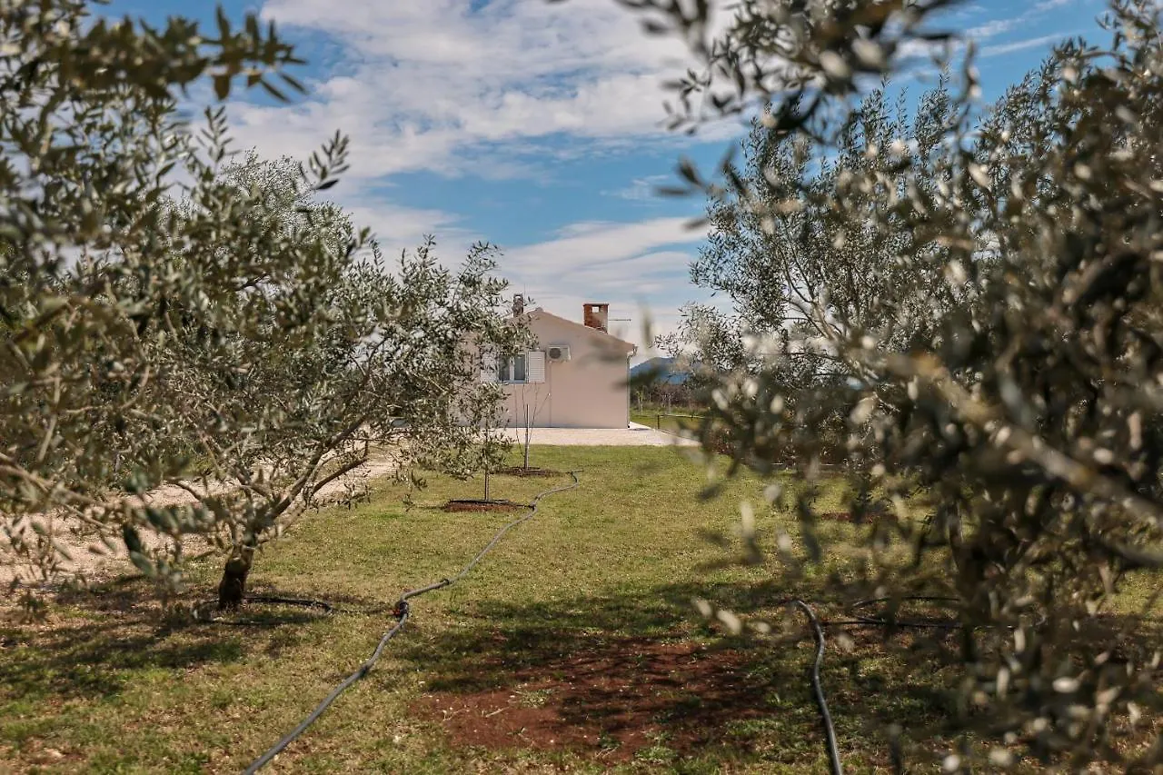 Villa Marinerro Completely Energy Self-Sustainable Surrounded By Olive Groves And An Orchard Biograd Na Moru Croatia